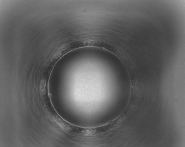 X0000077340660200610271803