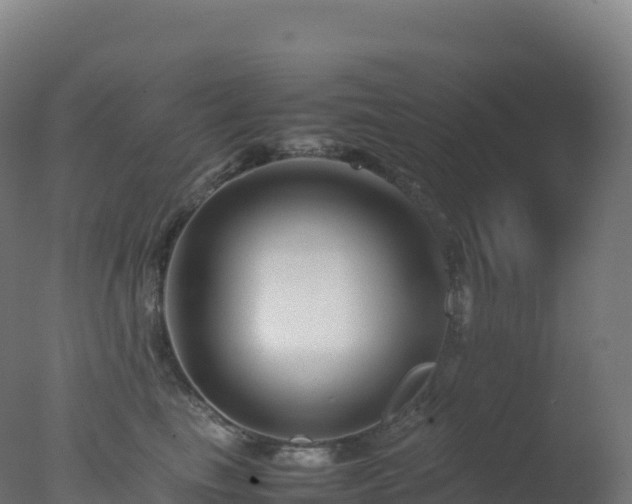 X0000077340665200610271804