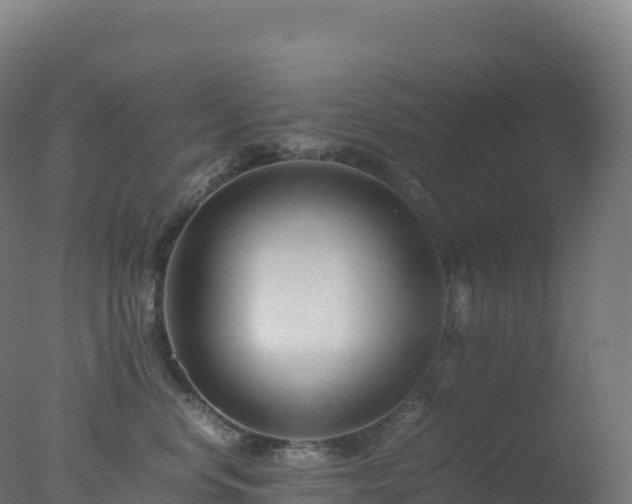 X0000077340668200610271804