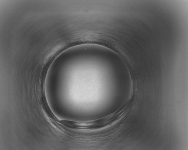 X0000077340677200610271803