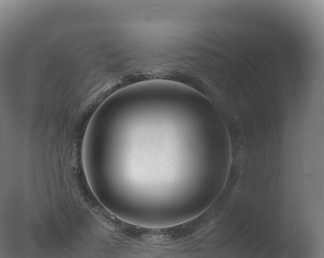 X0000077340689200610271803