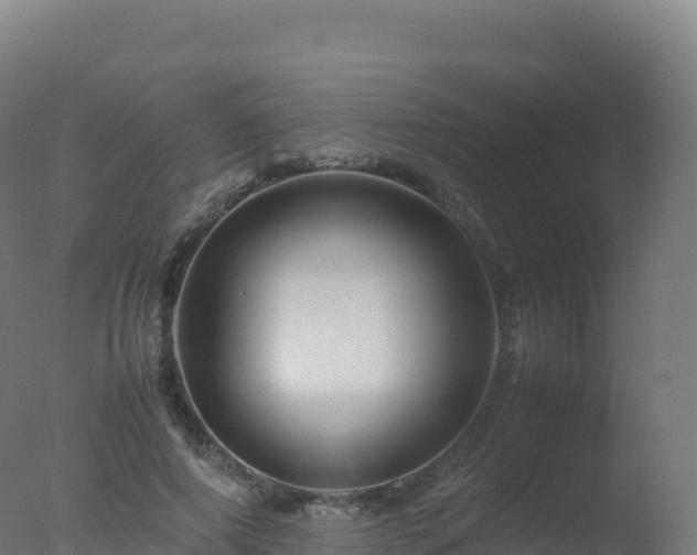 X0000077340690200610271803