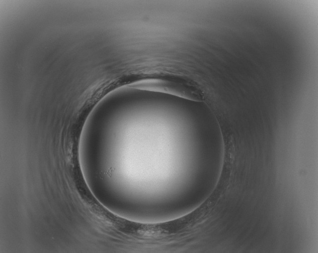 X0000077340693200610271803