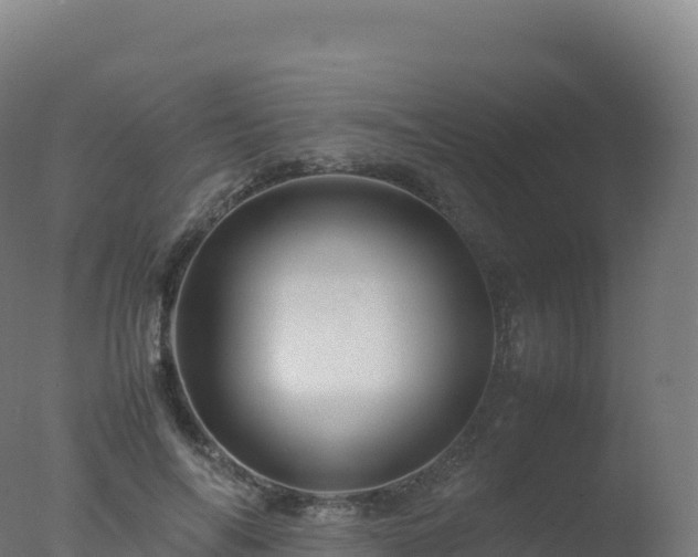 X0000077340694200610271802