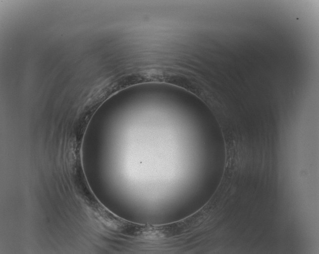 X0000077340702200610271802
