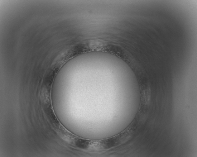X0000077340705200610271802