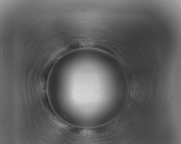 X0000077340714200610271802