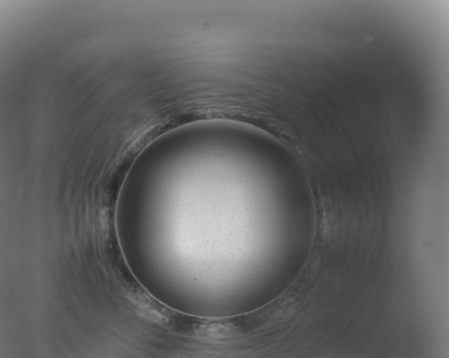 X0000077340716200610271802