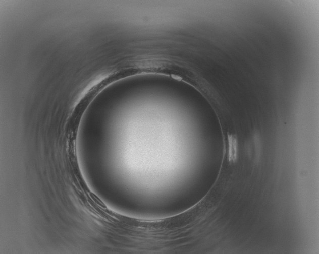 X0000077340723200610271801