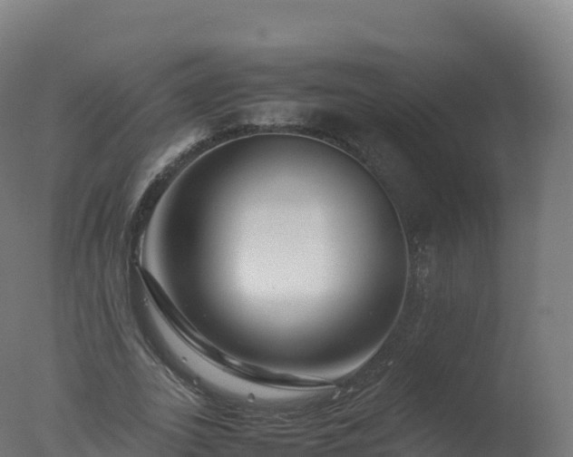 X0000077340727200610271801