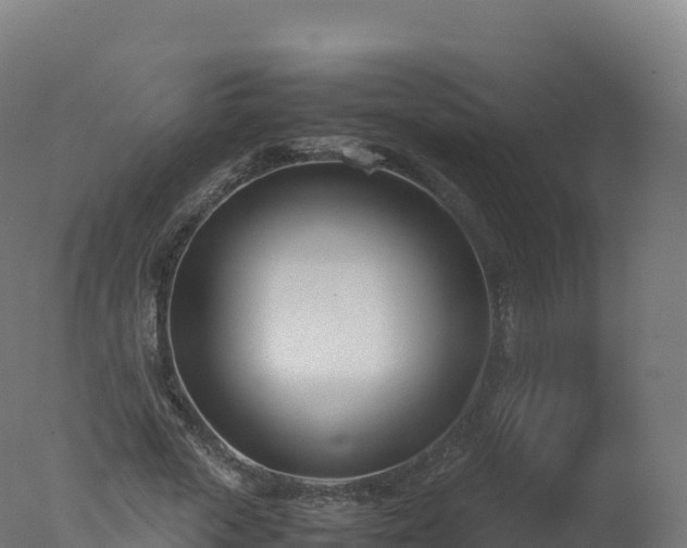 X0000077340729200610271801