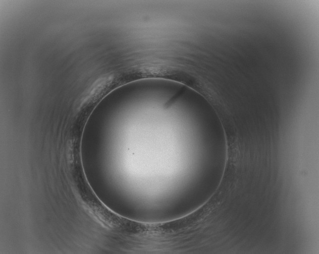 X0000077340738200610271802