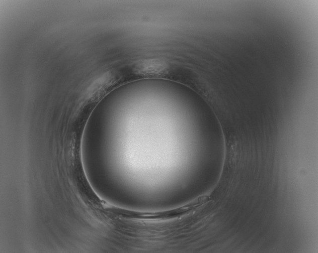 X0000077340739200610271802