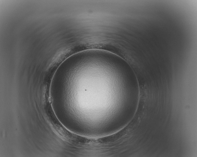 X0000077340742200610271802