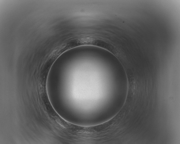 X0000077340743200610271802