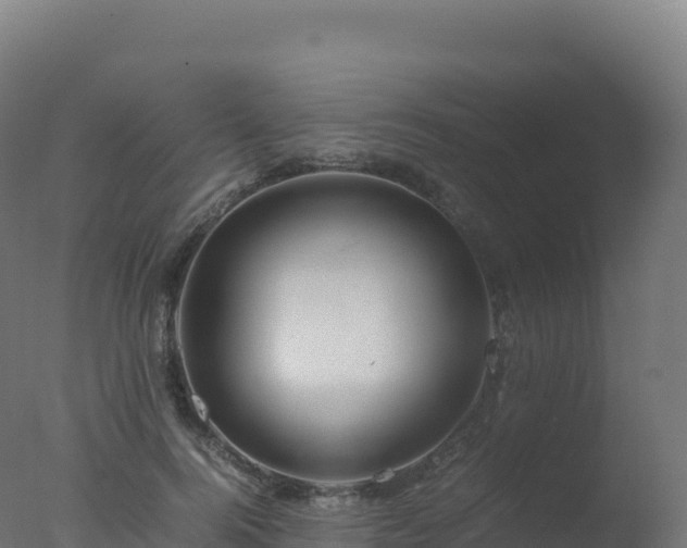 X0000077340744200610271802