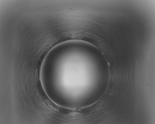 X0000077340748200610271802