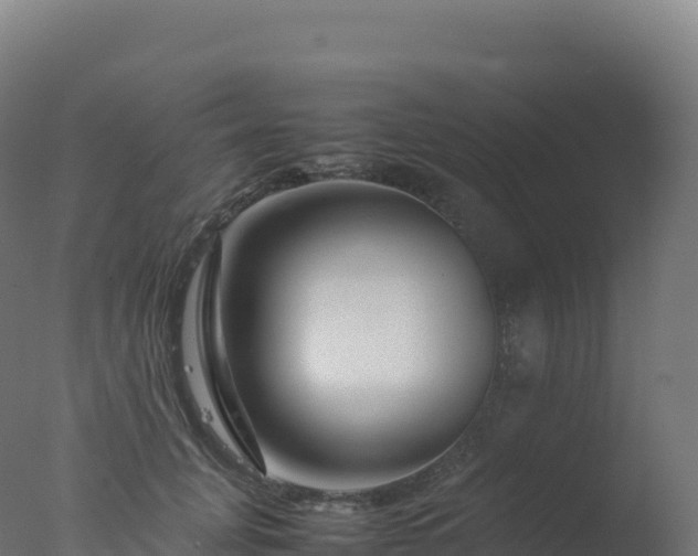 X0000077340751200610271802