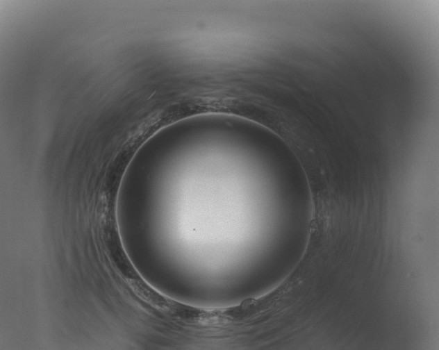 X0000077340752200610271802
