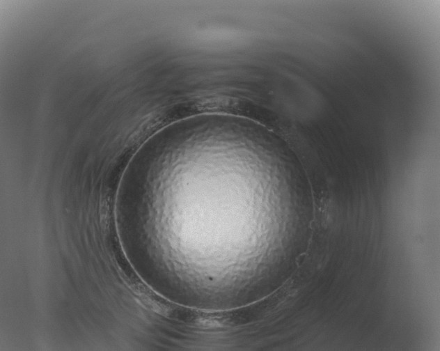 X0000077340753200610271802