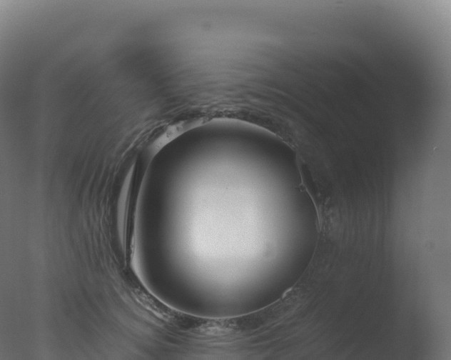 X0000077340756200610271802