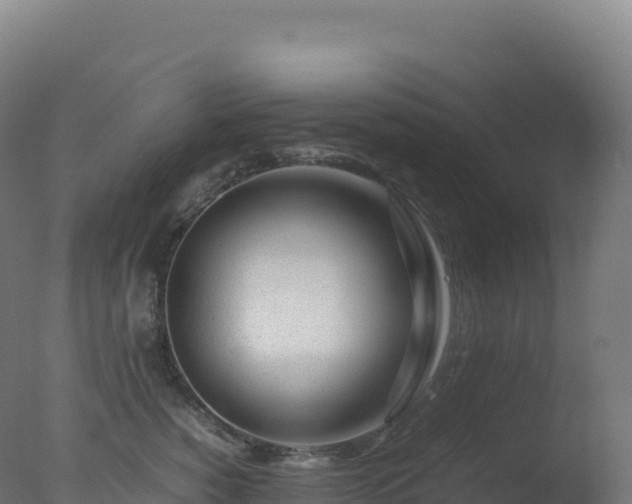 X0000077340760200610271802