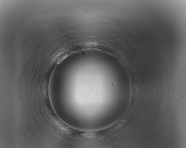 X0000077340762200610271802