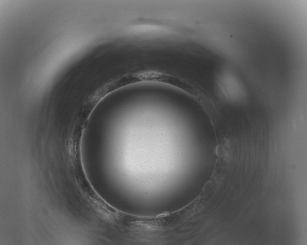 X0000077340763200610271802