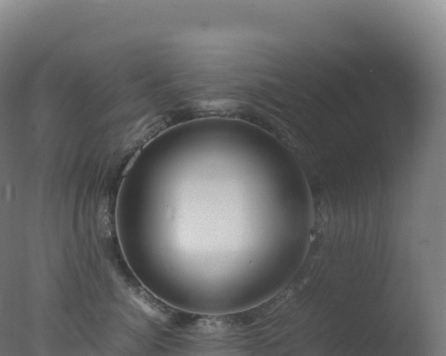 X0000077340764200610271802