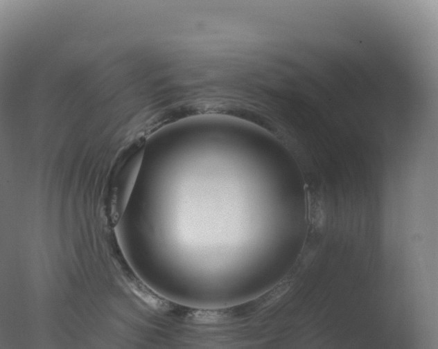 X0000077340766200610271802