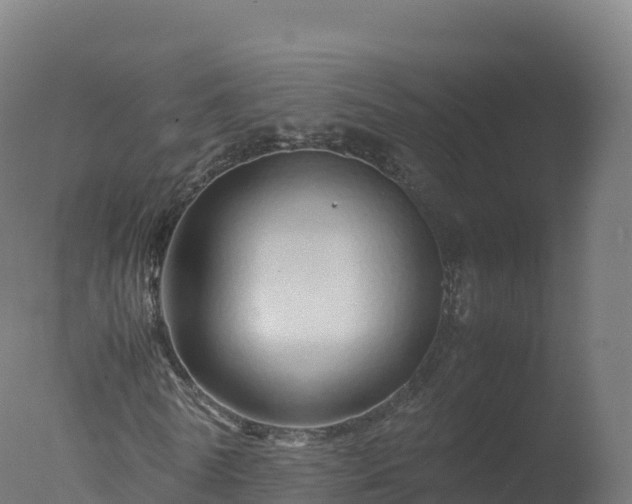 X0000077340770200610271801