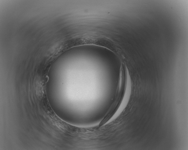 X0000077340772200610271801