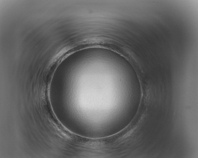 X0000077340778200610271801