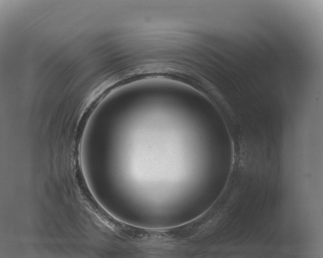 X0000077340786200610271801