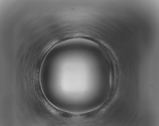 X0000077340793200610271801