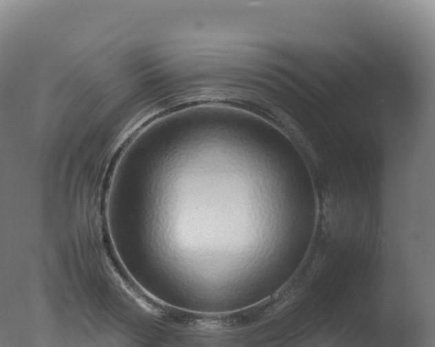 X0000077340794200610271801