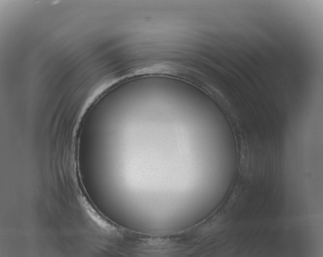 X0000077340800200610271801