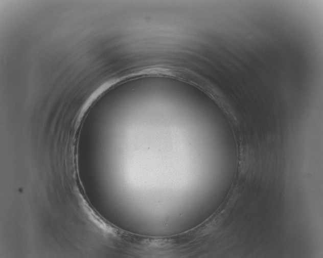 X0000077340808200610271801