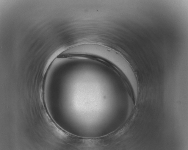 X0000077340812200610271800