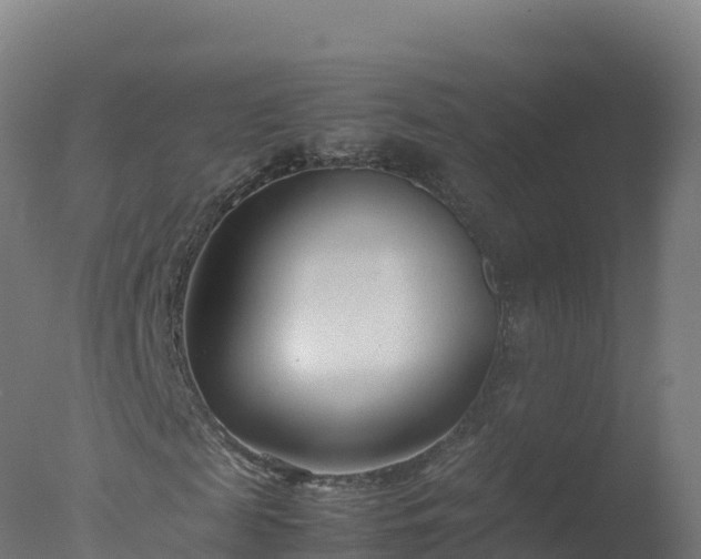 X0000077340817200610271800