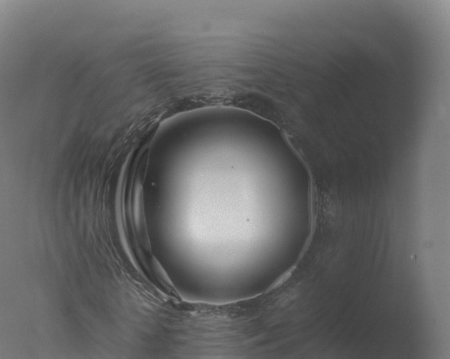X0000077340818200610271800
