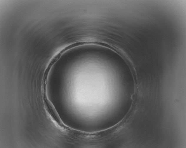X0000077340839200610271800