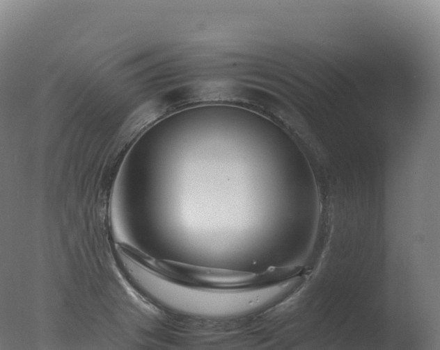 X0000077340841200610271800