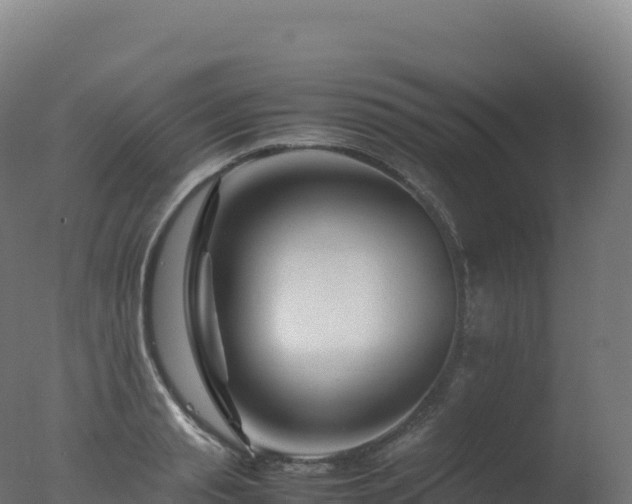X0000077340845200610271800