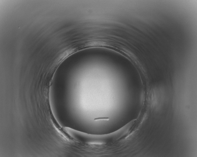 X0000077340849200610271800