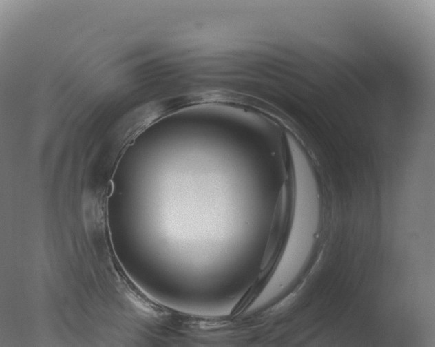 X0000077340857200610271800
