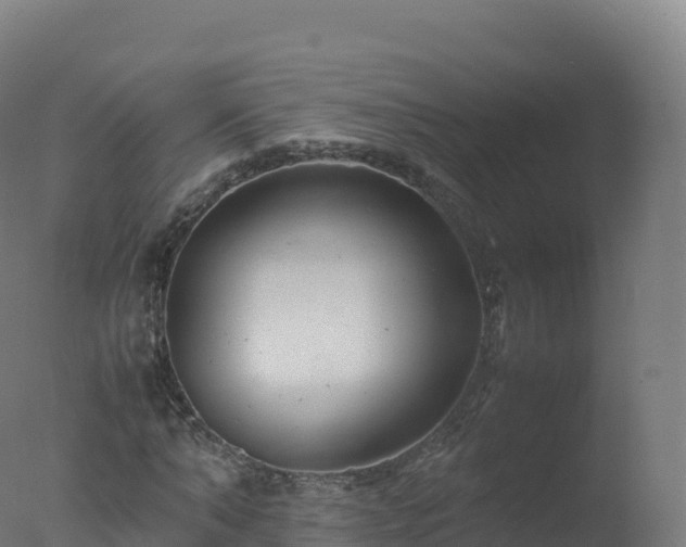 X0000077340870200610271759