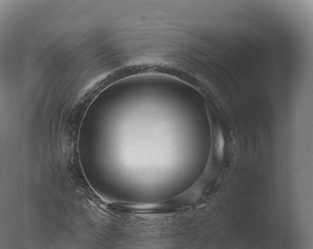 X0000077340872200610271759