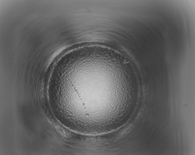 X0000077340875200610271759