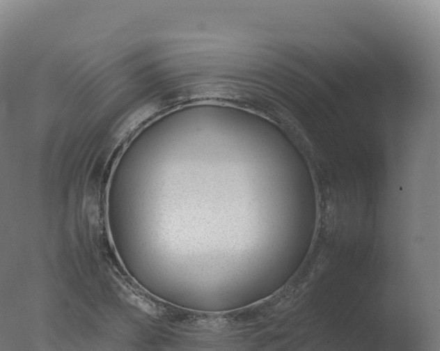 X0000077340882200610271759
